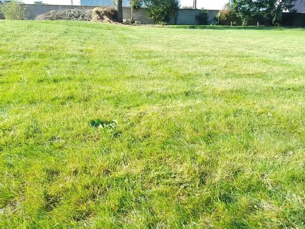 Terrain 1300 m²