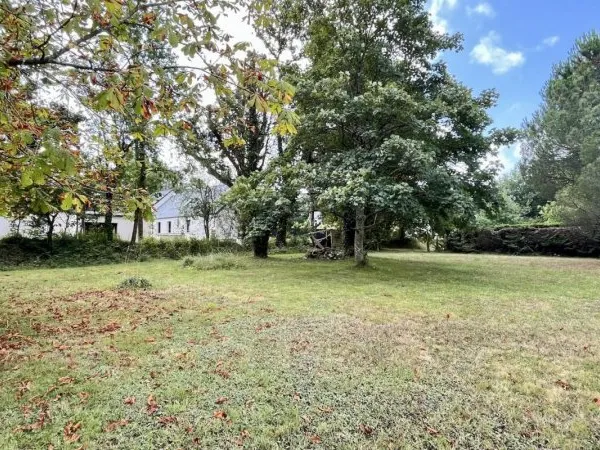 Vends terrain