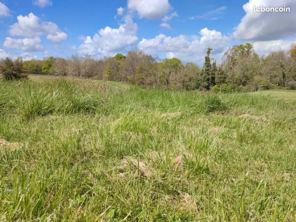 Terrain 1 300 m² Cadillac