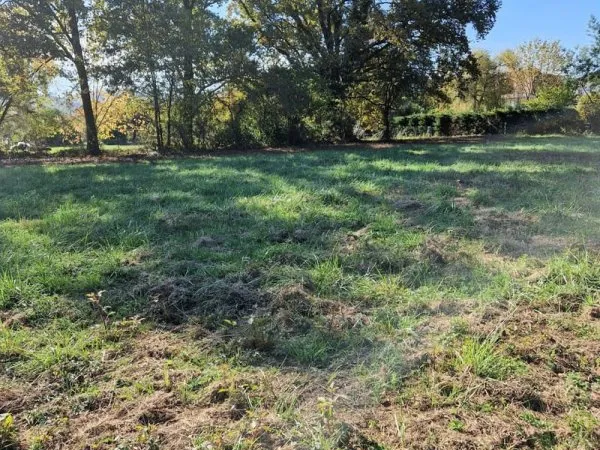 Terrain 1000 m²