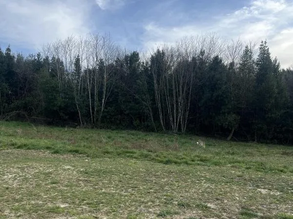 Terrain viabilisé