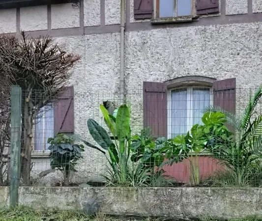 Investisseur locatif - Terrain divisible de 795 m²