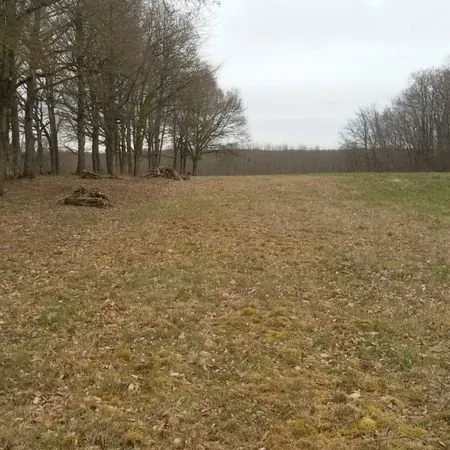 Terrain de loisirs