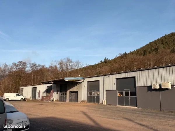 à vendre - hall industriel loué - oberhaslach (67)
