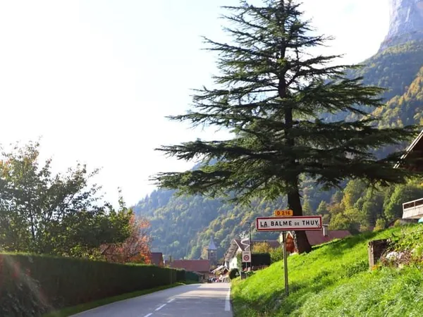 Proche Thones, terrain viabilisé