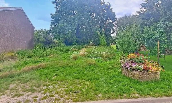 Terrain de 1479 m²