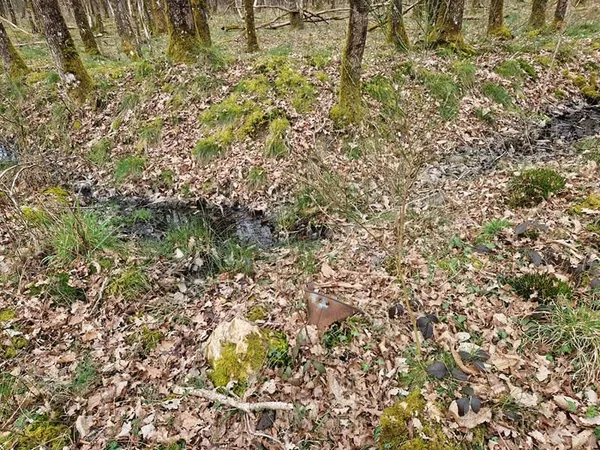 LANGON SUR CHER 41320 PARCELLES DE BOIS TAILLIS