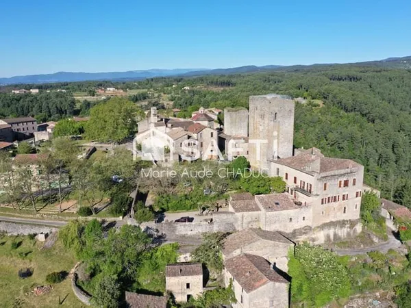 Château Médiéval XIIème-15 pièces - 800m2
