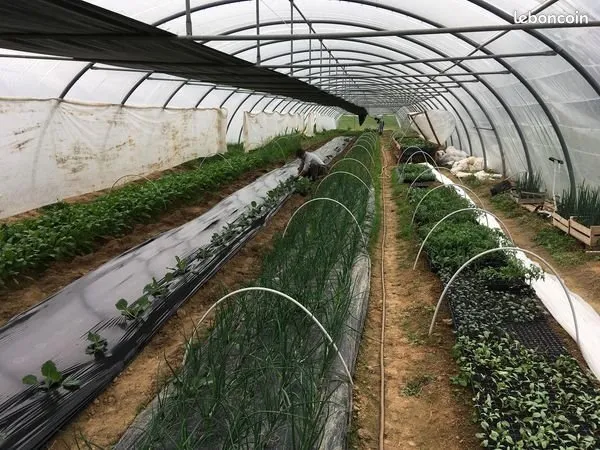 Ferme maraîchère bio 2ha
