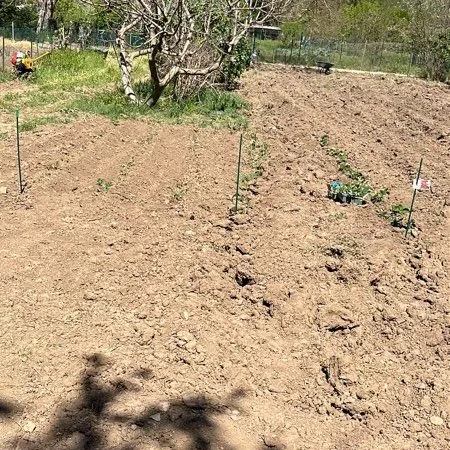 Terrain Vente Carcès  950m² 45000€