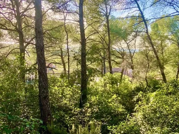 Terrain 5805 m² Six-Fours-les-Plages
