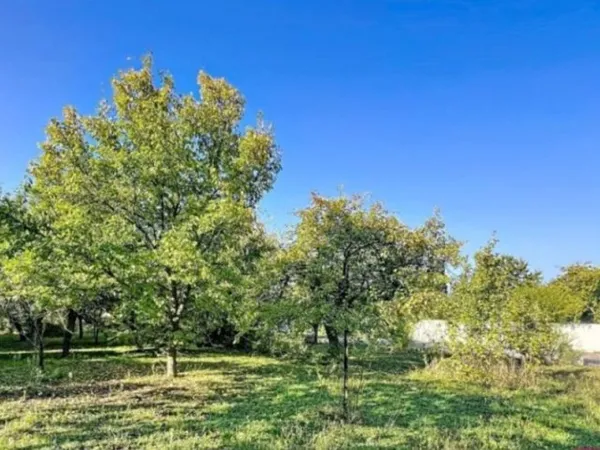 Terrain 330 m²