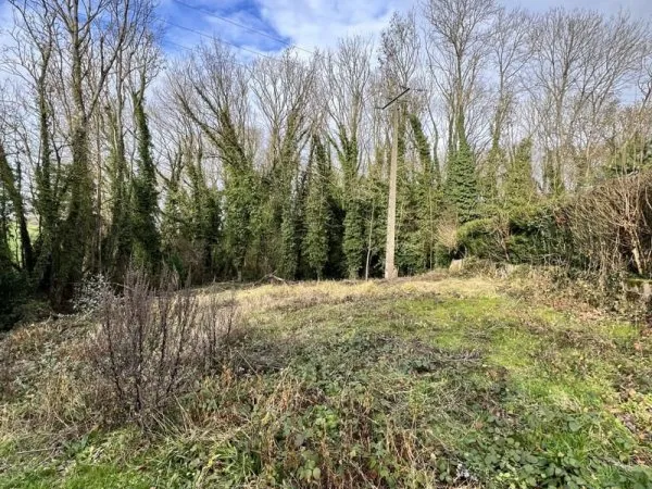 Terrain 557 m²