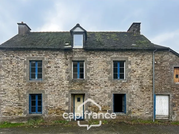 Maison en pierre avec dépendances et grand terrain - Environnement boisé et calme - La Motte (22600)