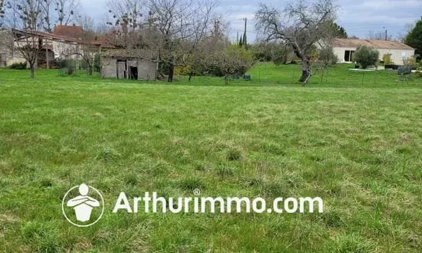 Terrain 4979 m²
