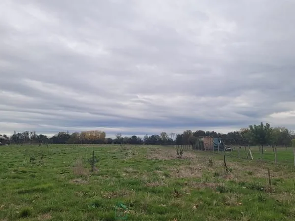 Terrain constructible