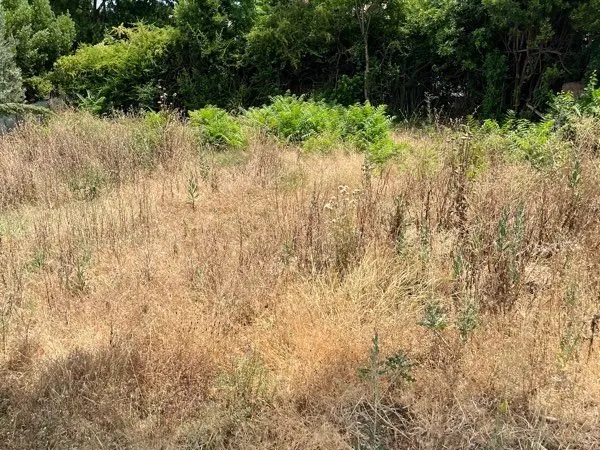 Terrain 415 m2