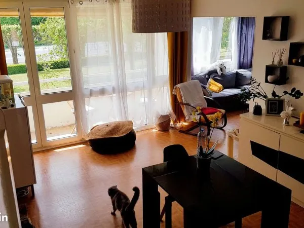 Appartement Reims Saint-Rémi vendu loué T3 bis lumineux