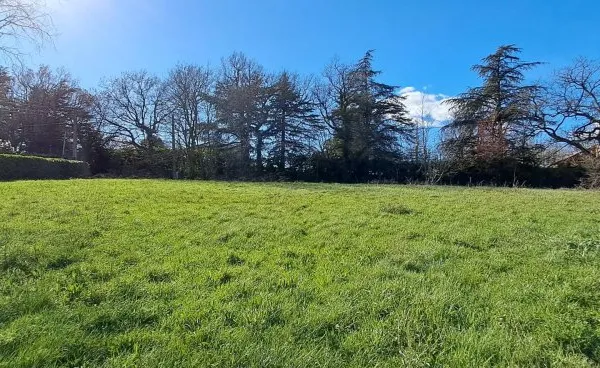 Le terrain parfait pour votre projet !