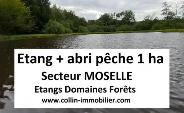 Terrain 10000 m²