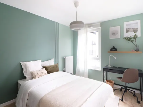 Loue cette belle chambre de 13 m² dans un appartem