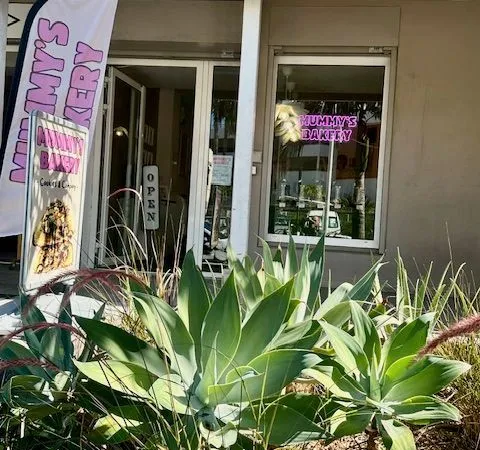 Local commercial 20 m²