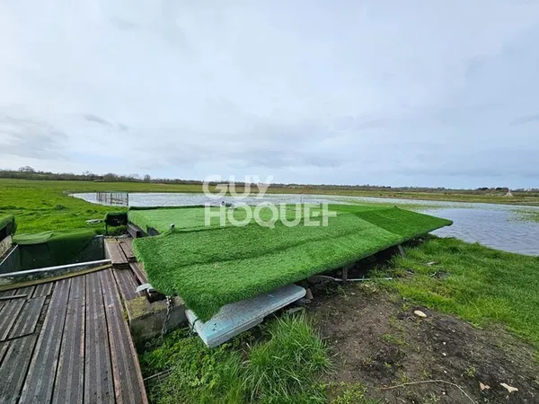 Terrain 13560 m²