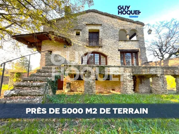 Demeure d'exception à Cremieu 8 pièces 220 m2 env beau terrain