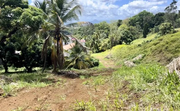 Terrain 538 m²
