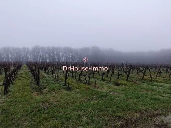 Saint Sulpice de Faleyrens, Parcelles de vignes AOC Saint Emilion Grand Cru