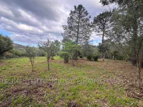 Terrain 2462 m²