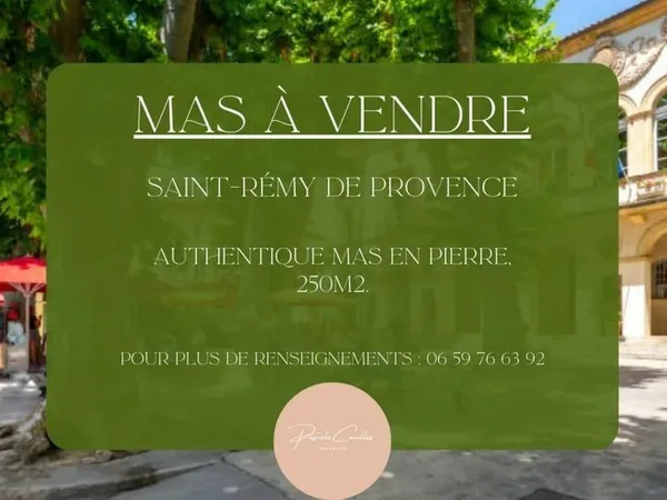 Maison en pierre 9 pièces