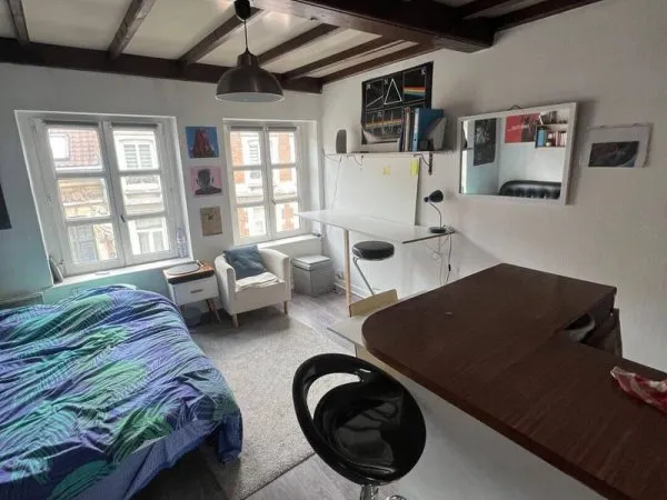 Appartement 1 pièce 20 m²