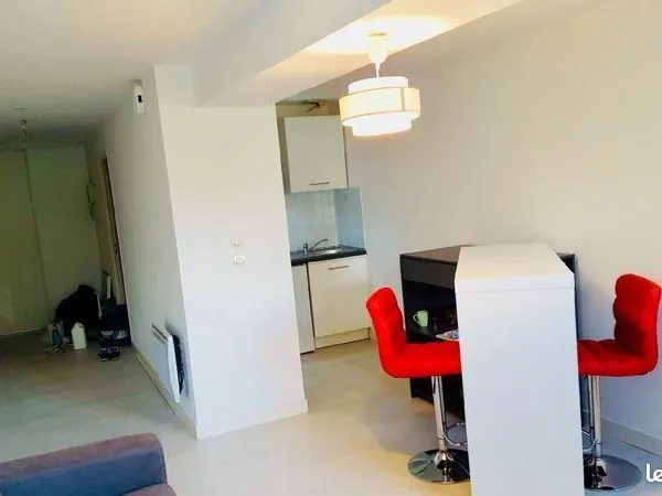 Grand studio avec parking