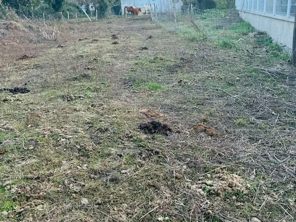 Terrain constructible à Tarbes, 1263 m²
