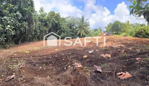 Terrain plat, viabilisable - 1 346 m² - Gros-Morne - À saisir !
