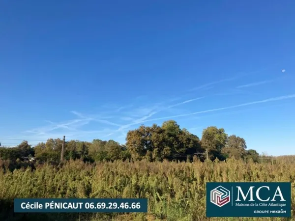 Terrain 741 m²