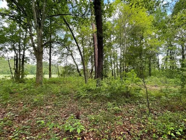 Terrain 3303 m²