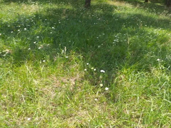 Terrain 690 m²