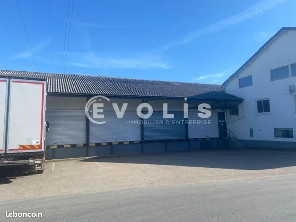 Local bureaux 1 119 m²