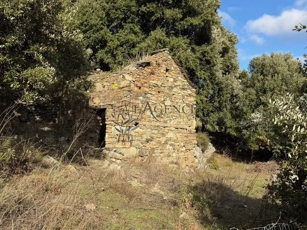 PAGLIAGHJU A VENDRE - MURATO