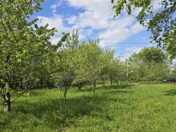 PRÉCIGNÉ Terrain de loisirs / verger de plus de 1 800 m2