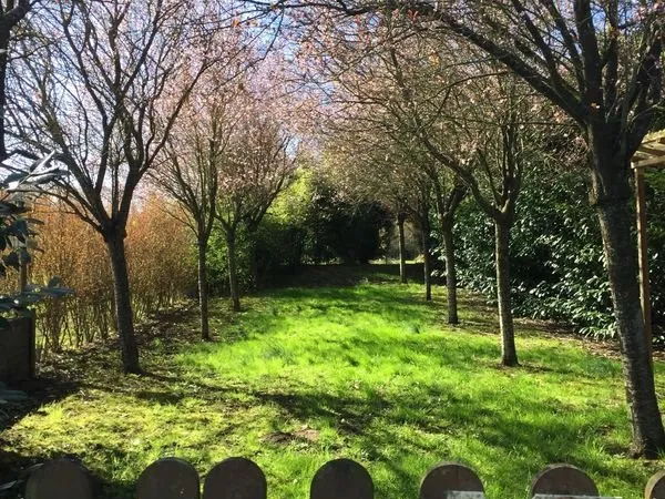 étang avec terrain