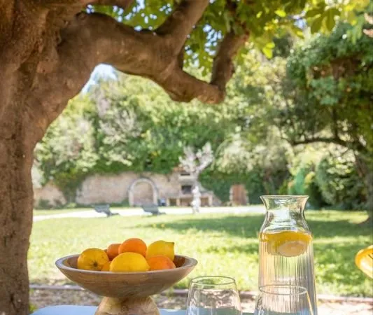 Location T2 meublé au sein d'un mas provençal