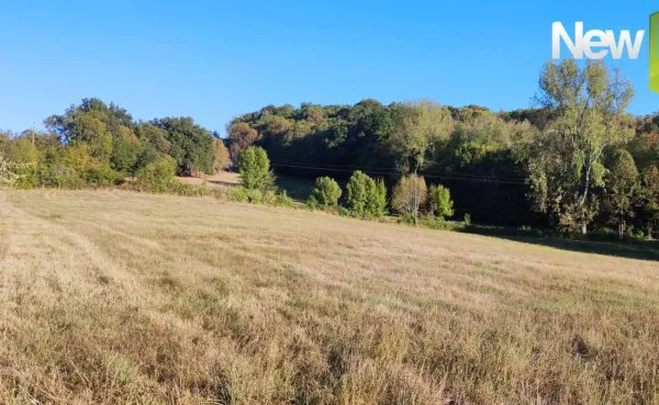 Terrain en individuel 2800 m²