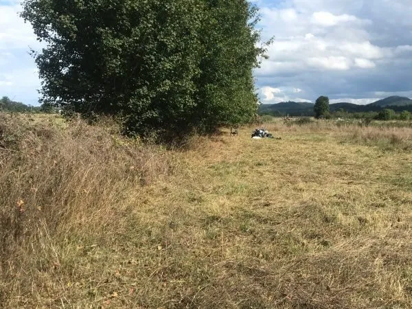 🏡 Annonce - Parcelle agricole 4 075 m² - Pointis-Inard