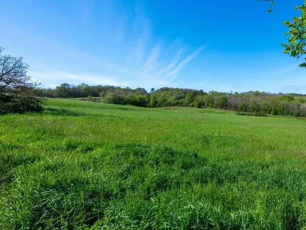 Secteur Domme, Grand terrain de 2ha ( constructible sur 7600m²)