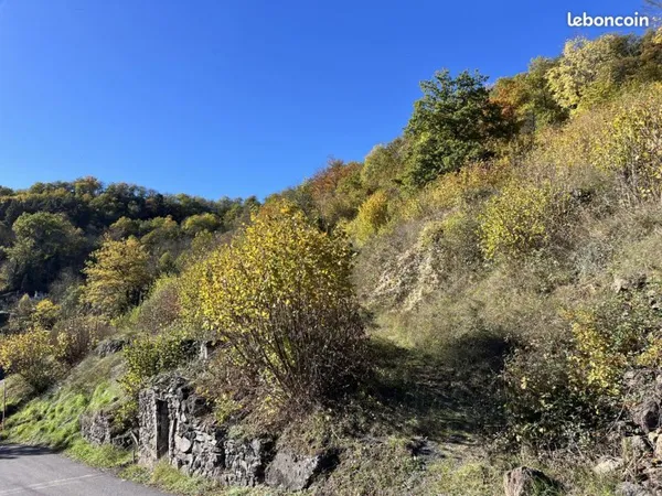Terrain 3117 m² Ceyssac