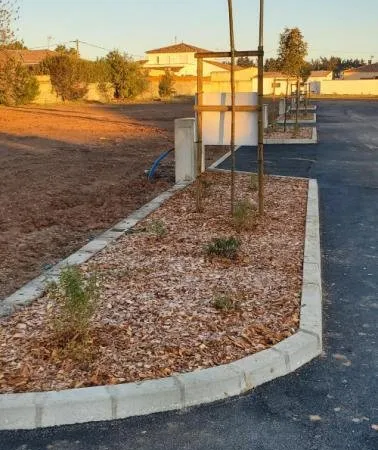 Terrain