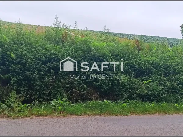 beau terrain constructible